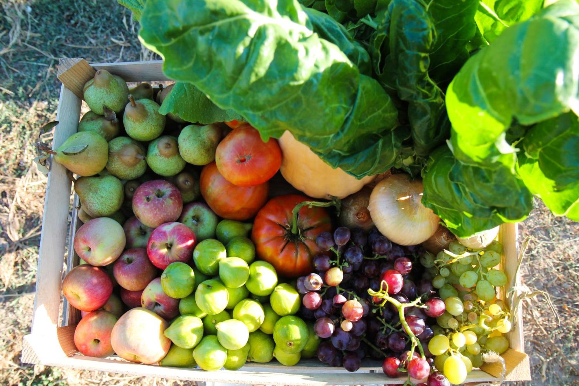Chitaka'S Organic Farmhouse In Ribatejo Santo Estevao  Dış mekan fotoğraf
