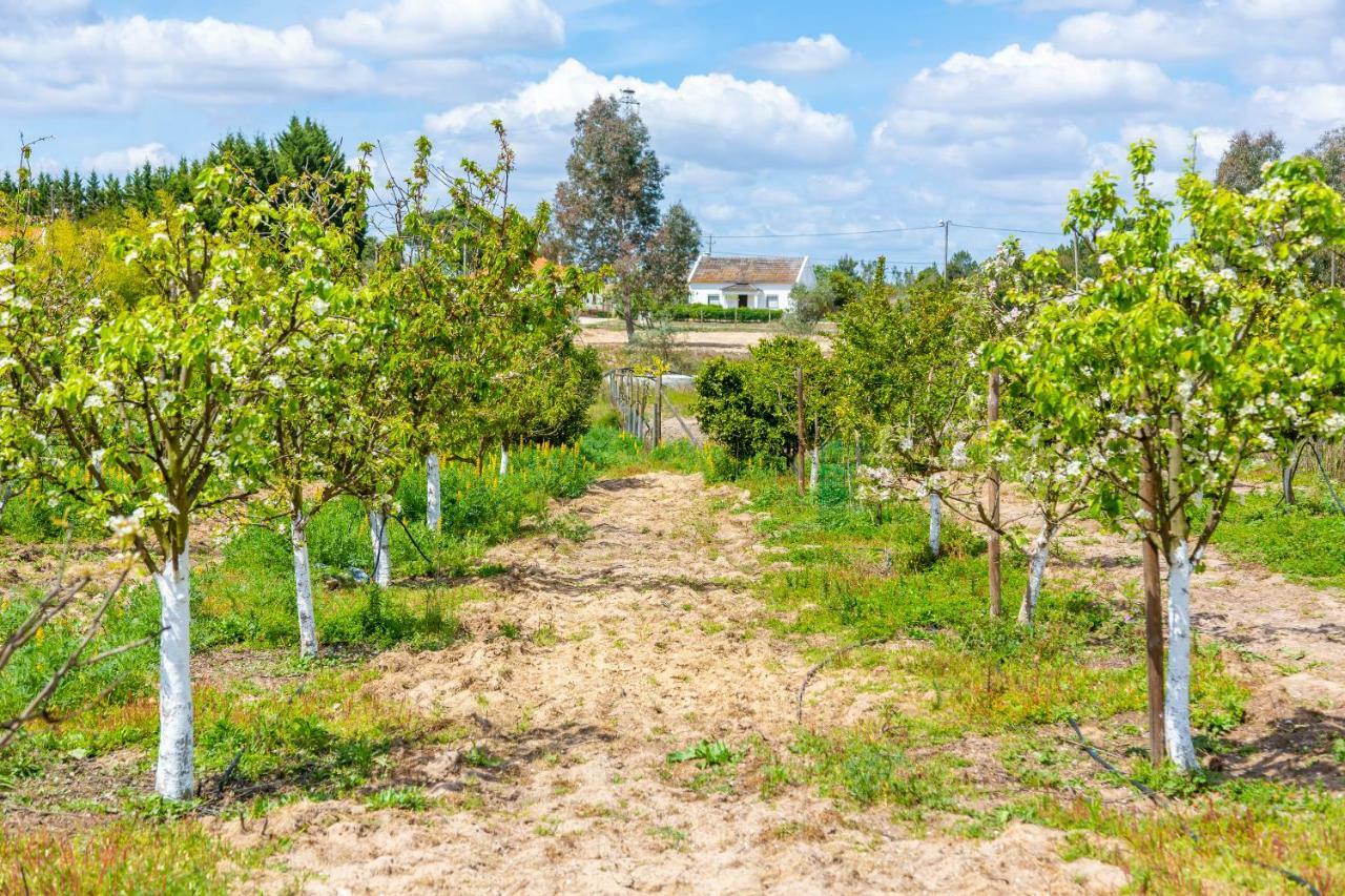 Chitaka'S Organic Farmhouse In Ribatejo Santo Estevao  Dış mekan fotoğraf